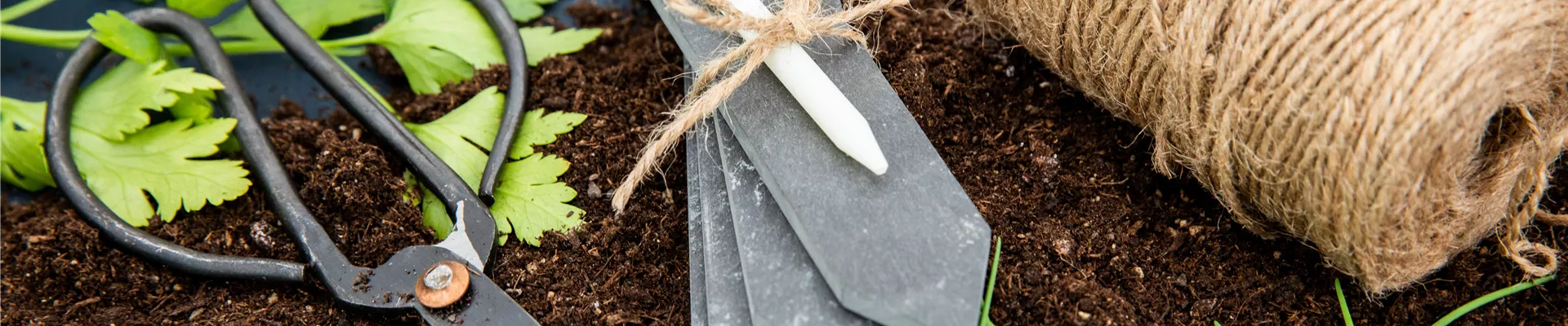 Aussaat - Pflanzenschild