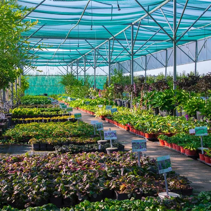 Gärtnerei und Baumschule