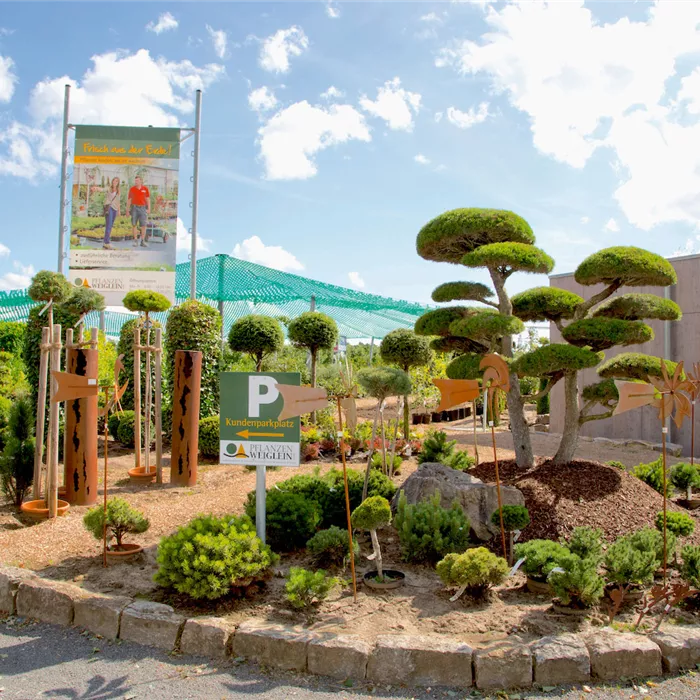 Garten - und Landschaftsbau