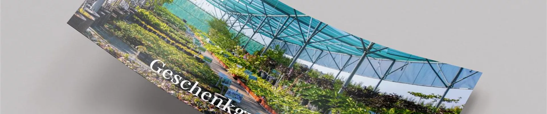 motiv2-99-74-1801-1351