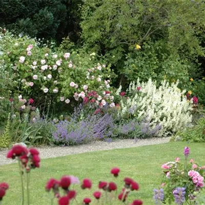 Aller Anfang ist (nicht) schwer - der erste eigene Garten